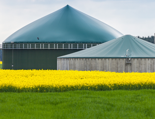 La produzione di energia in ambito agricolo: biogas e biometano
