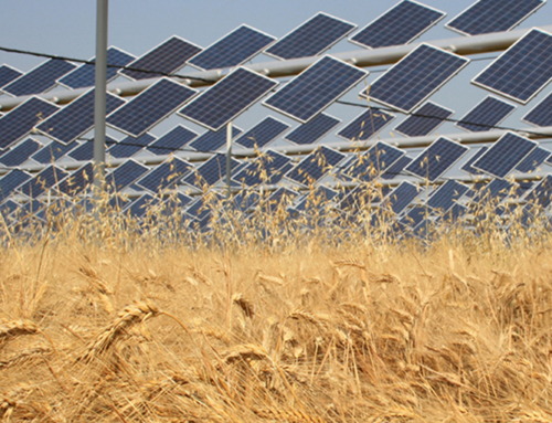 La produzione di energia in ambito agricolo: fotovoltaico e agrivoltaico